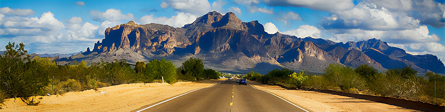 Fleet Testing Services